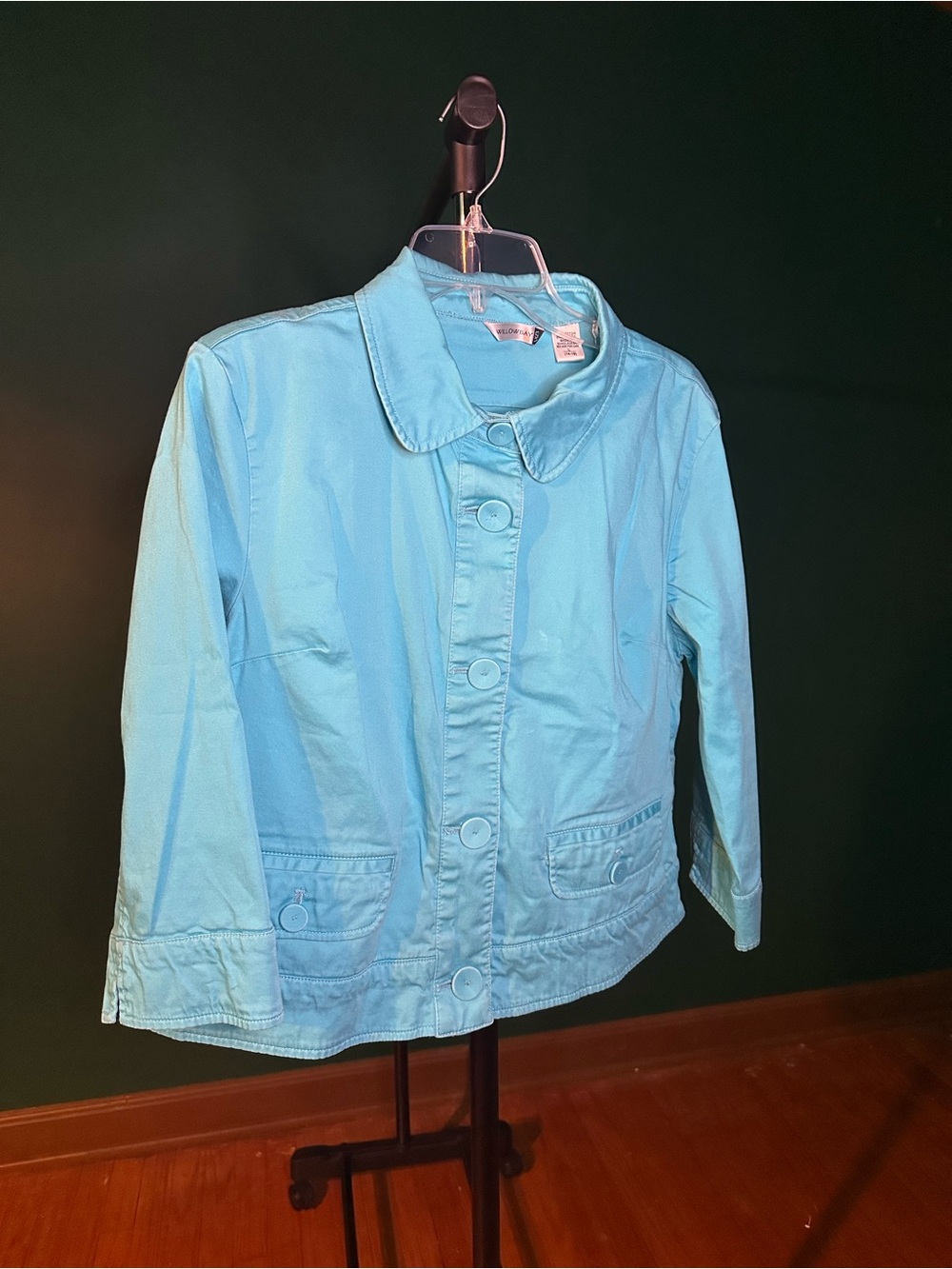 Willow Light Blue Button-Front Jacket